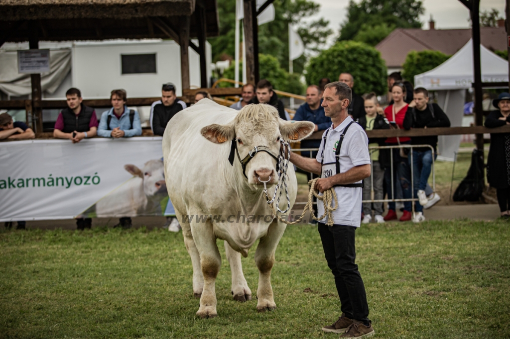 Hódmezővásárhely 2024