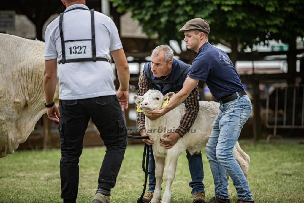 Hódmezővásárhely 2024