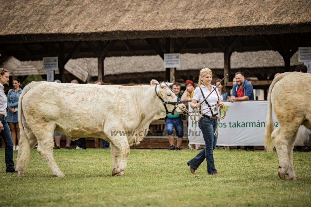 Hódmezővásárhely 2024